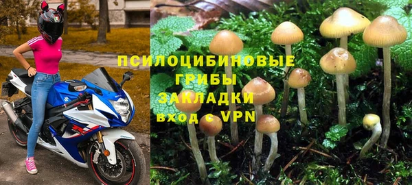 spice Алзамай