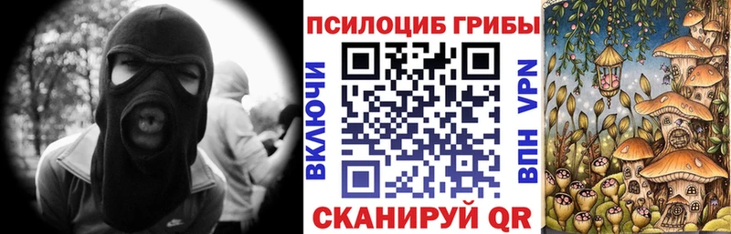 Галлюциногенные грибы прущие грибы  Чкаловск 